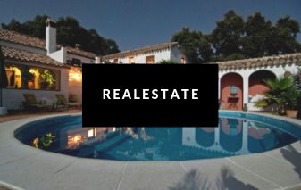 Real Estate Website Designing